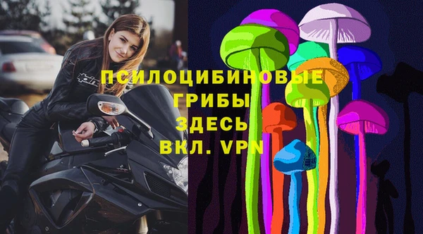 гидропоника Алзамай